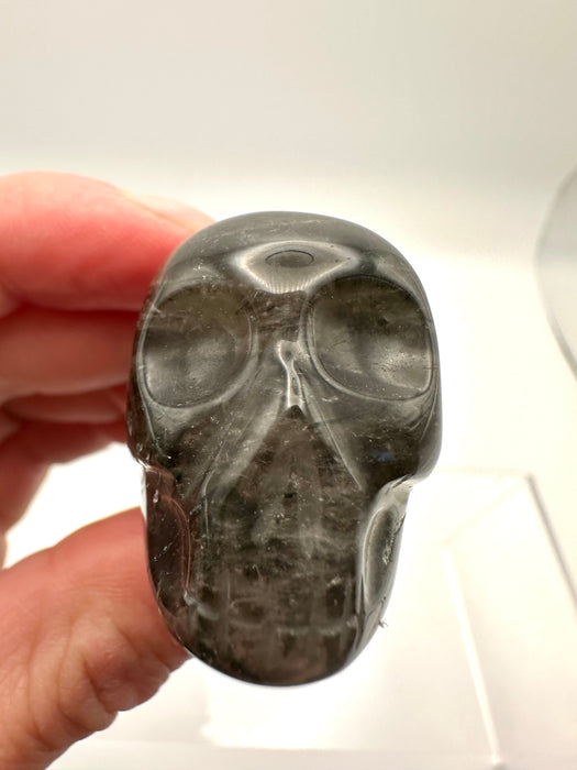 Angel Skull Master Carved - AS45