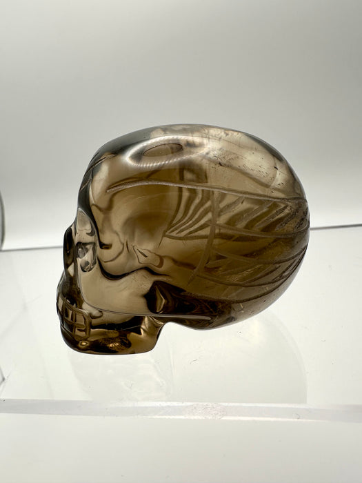 Angel Number 555 Skull Master Carved - AS65