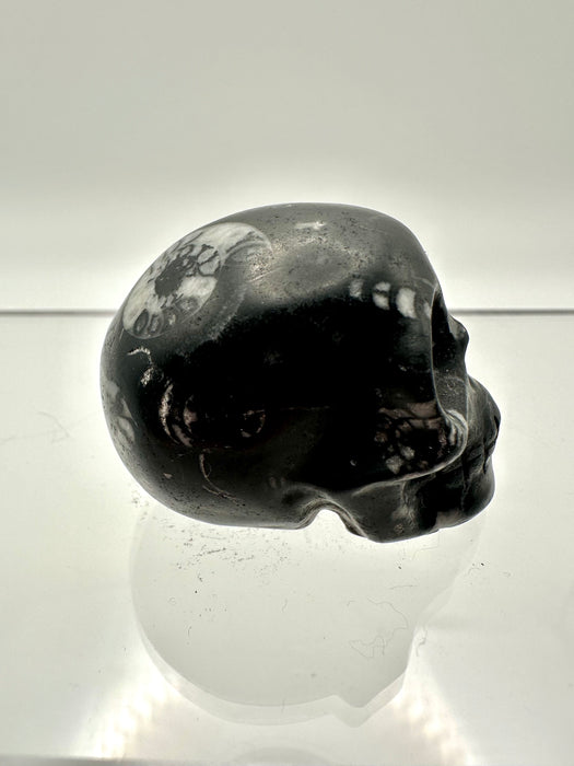 Fossil Skull Carving  - FSA8