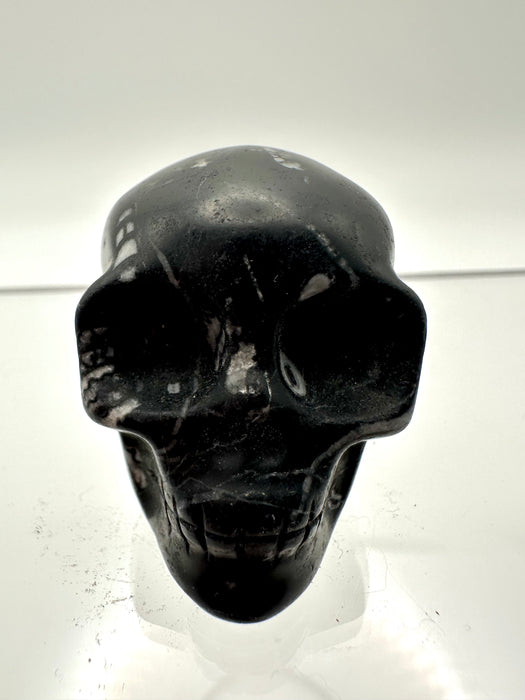 Fossil Skull Carving  - FSA8