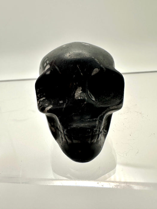 Fossil Skull Carving  - FSA8