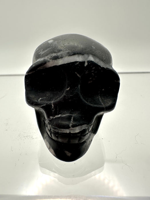 Fossil Skull Carving - FSB8