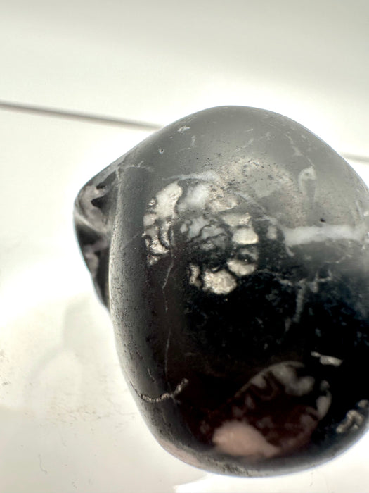 Fossil Skull Carving - FSB8