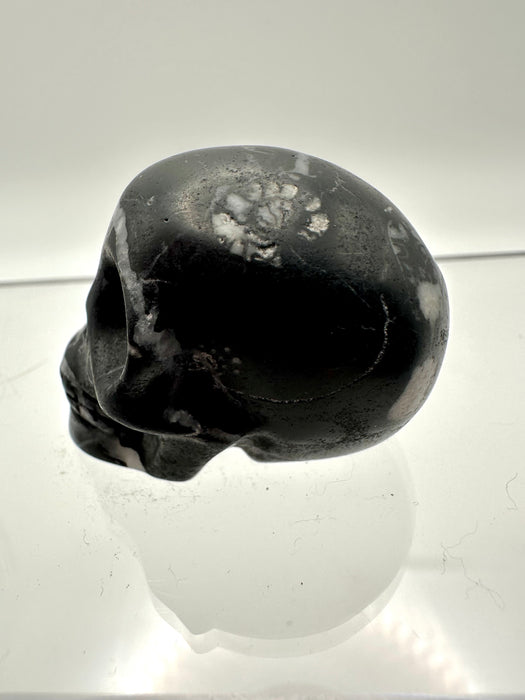 Fossil Skull Carving - FSB8