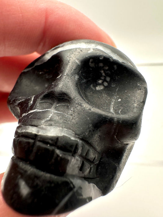 Fossil Skull Carving - FSB8