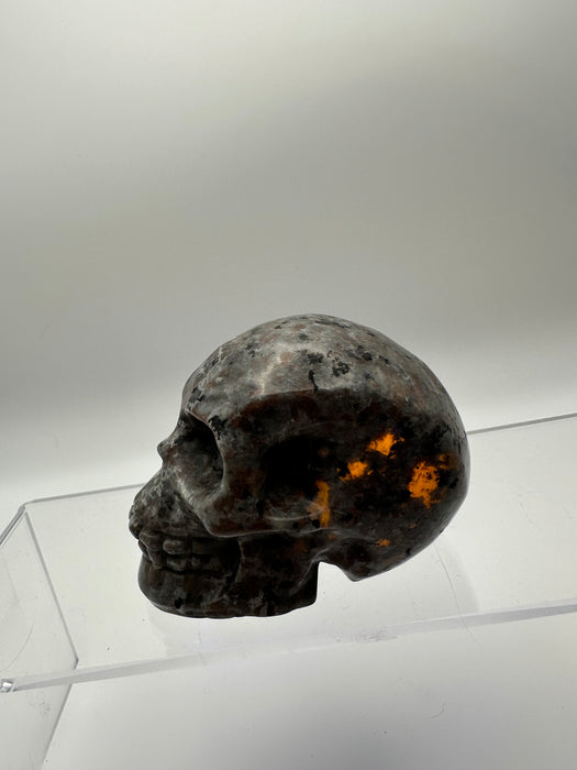 Syenite Sodalite UV Reaction Skull Carving - YA45