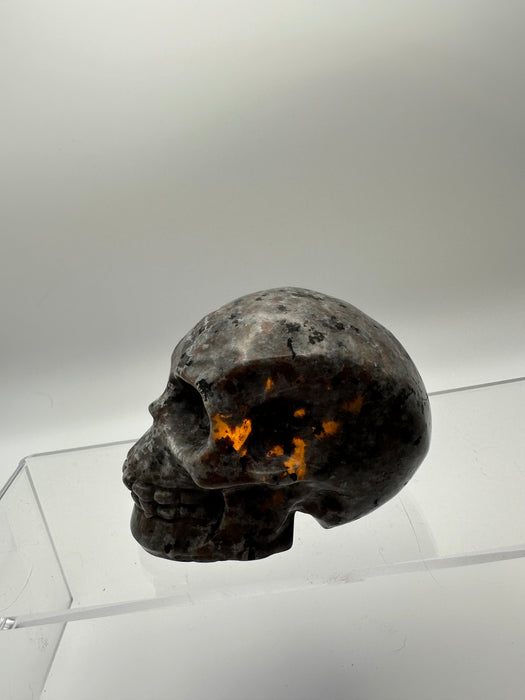 Syenite Sodalite UV Reaction Skull Carving - YA45