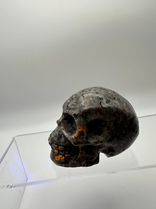Syenite Sodalite UV Reaction Skull Carving - YA45