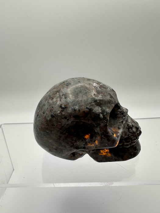 Syenite Sodalite UV Reaction Skull Carving - YA45