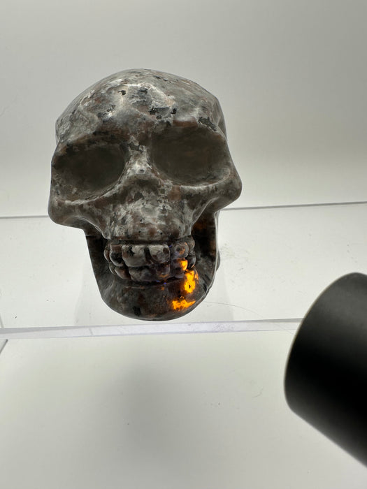 Syenite Sodalite UV Reaction Skull Carving - YA45