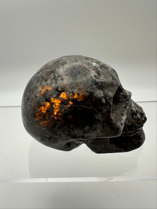 Syenite Sodalite UV Reaction Skull Carving - YA45