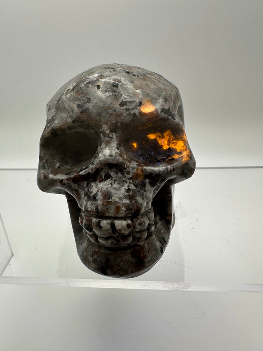 Syenite Sodalite UV Reaction Skull Carving - YA45