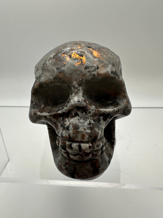 Syenite Sodalite UV Reaction Skull Carving - YA45