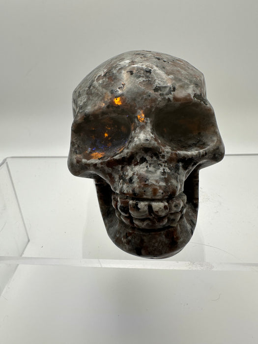 Syenite Sodalite UV Reaction Skull Carving - YA45