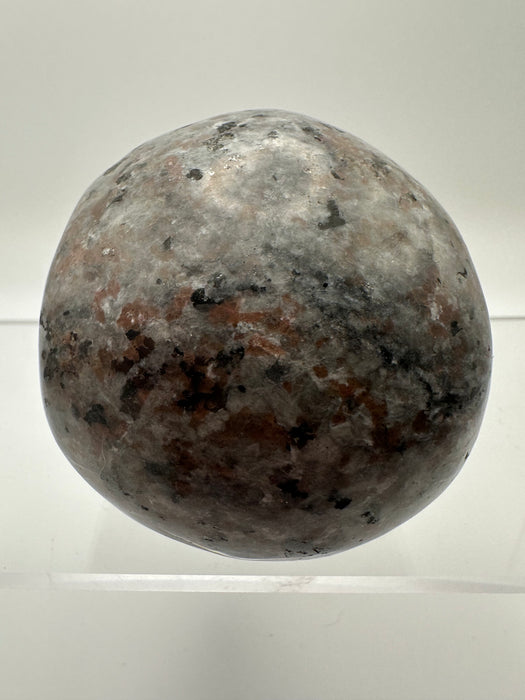 Syenite Sodalite UV Reaction Skull Carving - YA45