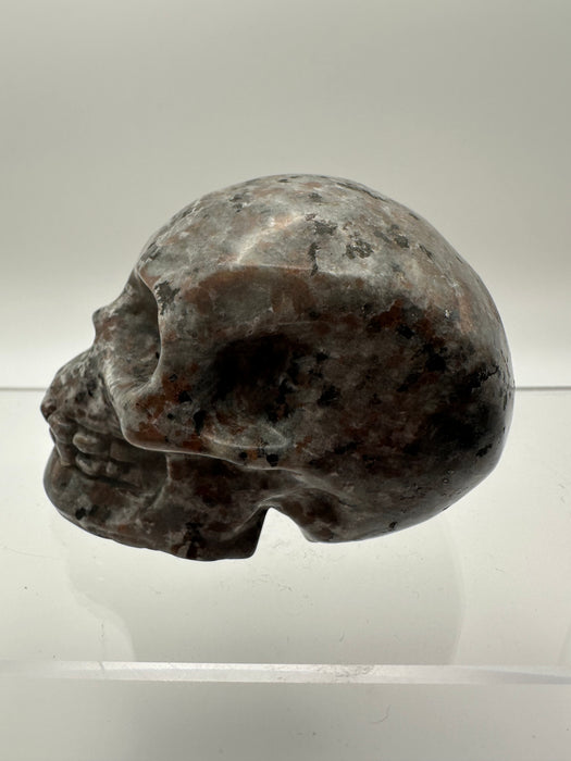 Syenite Sodalite UV Reaction Skull Carving - YA45