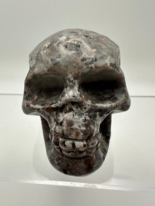 Syenite Sodalite UV Reaction Skull Carving - YA45