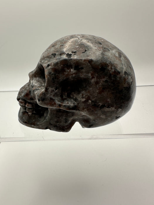 Syenite Sodalite UV Reaction Skull Carving - YB45