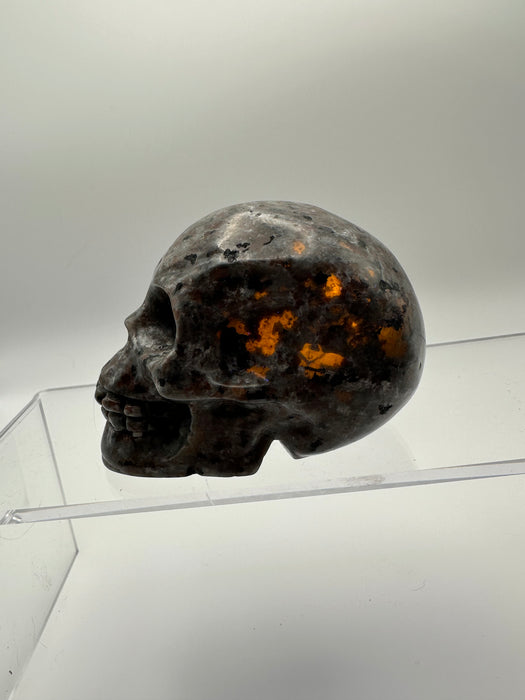 Syenite Sodalite UV Reaction Skull Carving - YB45