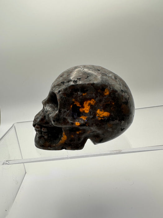 Syenite Sodalite UV Reaction Skull Carving - YB45