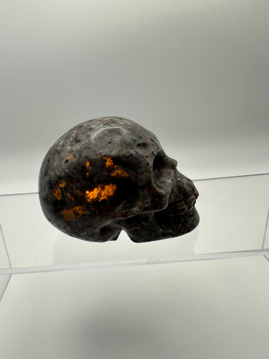 Syenite Sodalite UV Reaction Skull Carving - YB45