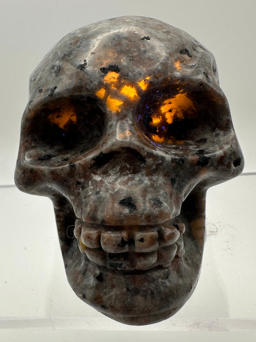 Syenite Sodalite UV Reaction Skull Carving - YB45