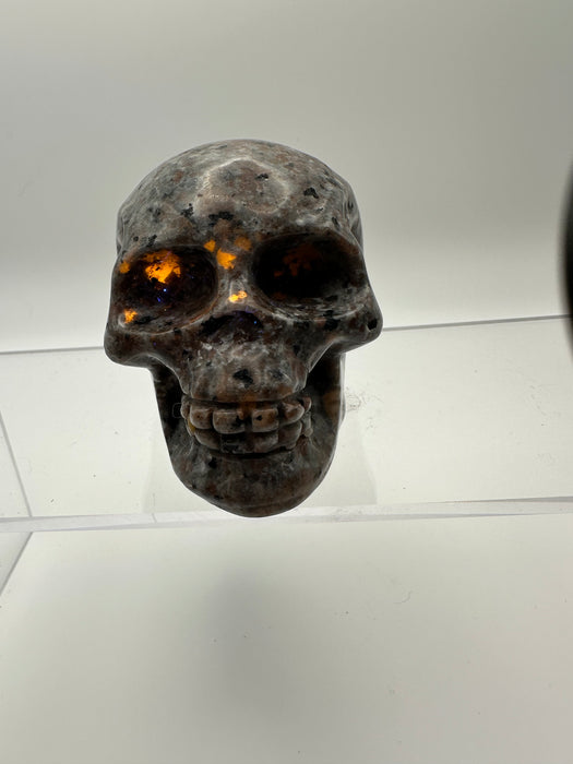 Syenite Sodalite UV Reaction Skull Carving - YB45