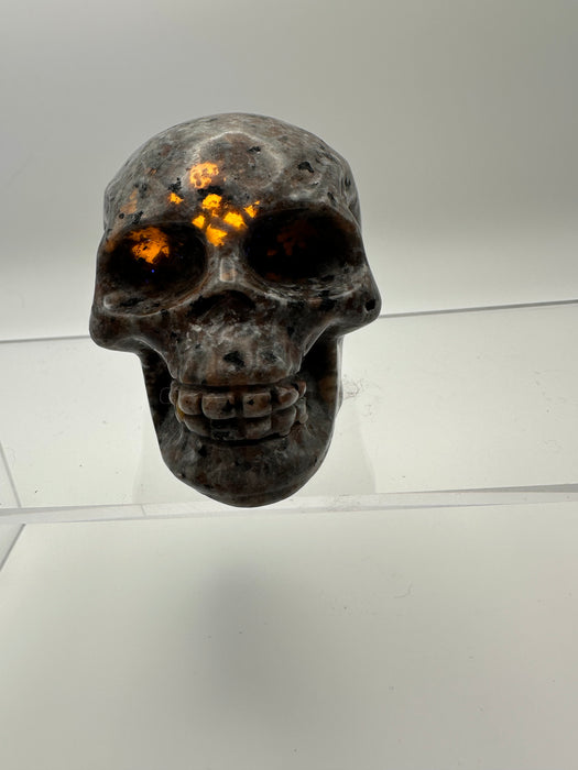 Syenite Sodalite UV Reaction Skull Carving - YB45