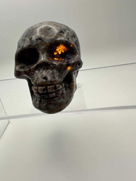 Syenite Sodalite UV Reaction Skull Carving - YB45