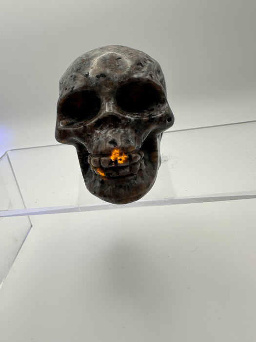 Syenite Sodalite UV Reaction Skull Carving - YB45