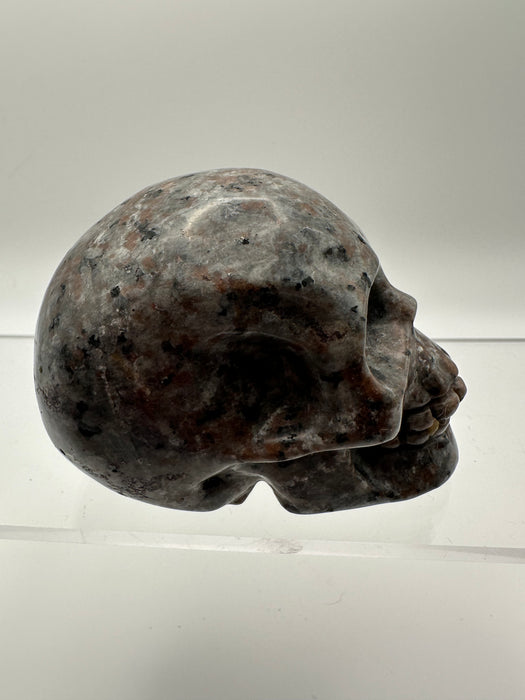Syenite Sodalite UV Reaction Skull Carving - YB45