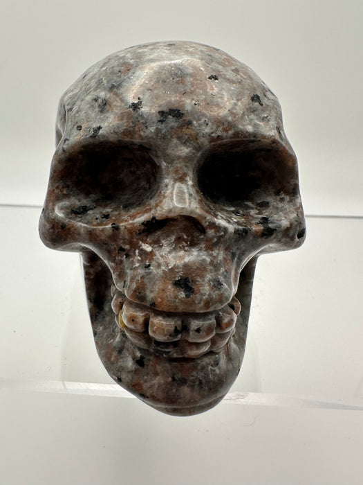 Syenite Sodalite UV Reaction Skull Carving - YB45