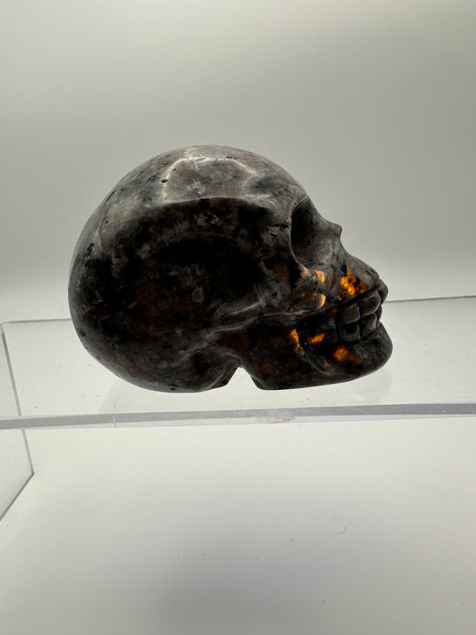 Syenite Sodalite UV Reaction Skull Carving - YC45