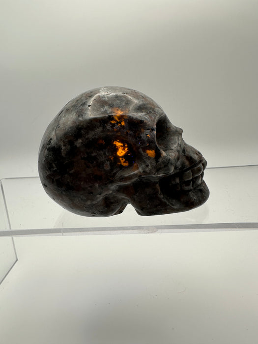 Syenite Sodalite UV Reaction Skull Carving - YC45