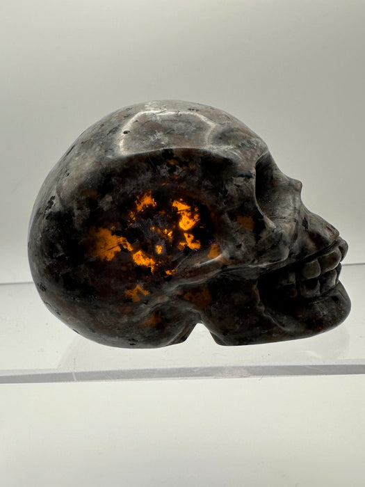 Syenite Sodalite UV Reaction Skull Carving - YC45