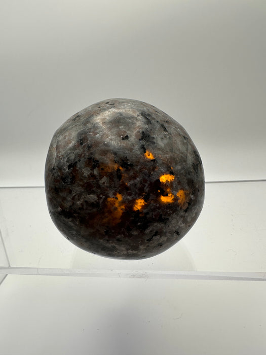 Syenite Sodalite UV Reaction Skull Carving - YC45