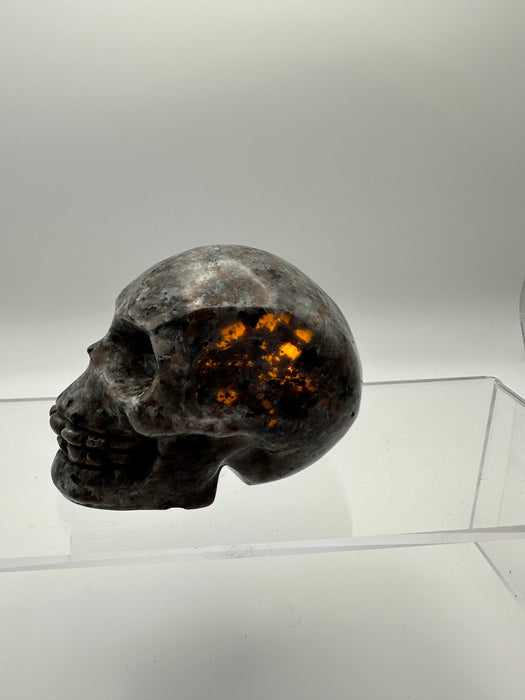 Syenite Sodalite UV Reaction Skull Carving - YC45