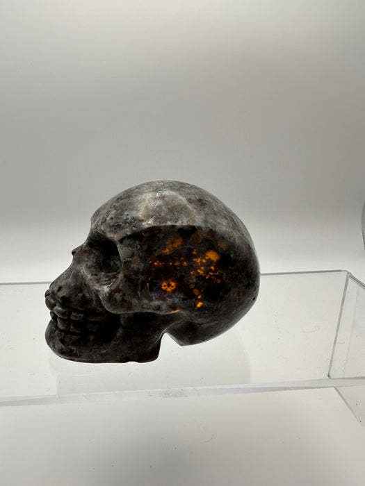 Syenite Sodalite UV Reaction Skull Carving - YC45