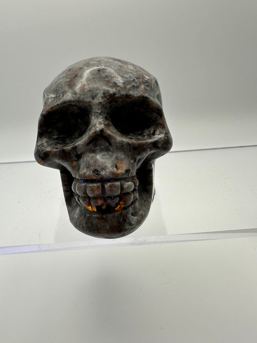 Syenite Sodalite UV Reaction Skull Carving - YC45