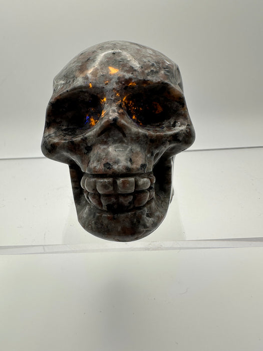 Syenite Sodalite UV Reaction Skull Carving - YC45