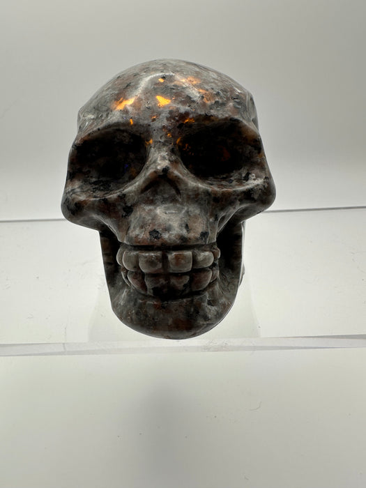 Syenite Sodalite UV Reaction Skull Carving - YC45