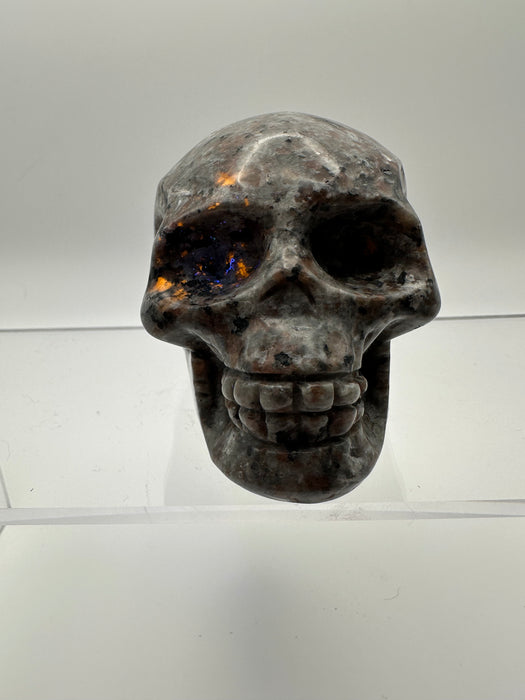 Syenite Sodalite UV Reaction Skull Carving - YC45