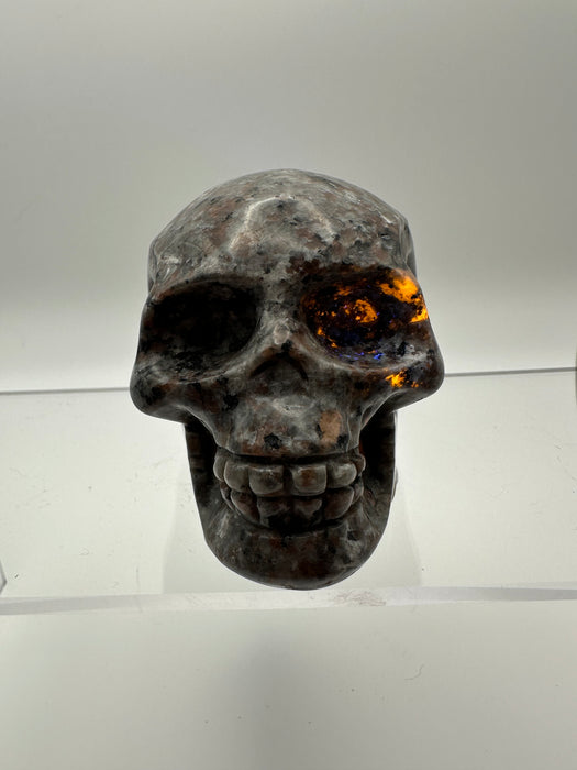 Syenite Sodalite UV Reaction Skull Carving - YC45