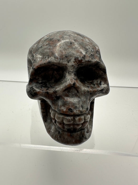 Syenite Sodalite UV Reaction Skull Carving - YC45