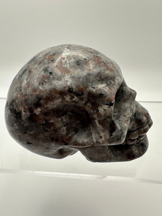 Syenite Sodalite UV Reaction Skull Carving - YC45