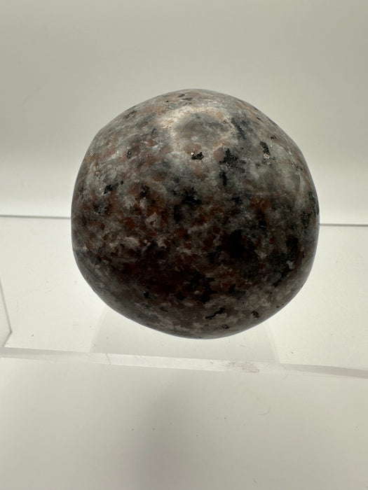 Syenite Sodalite UV Reaction Skull Carving - YC45