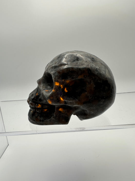 Syenite Sodalite UV Reaction Skull Carving - YD45