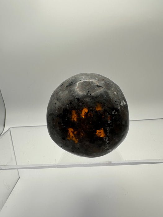 Syenite Sodalite UV Reaction Skull Carving - YD45