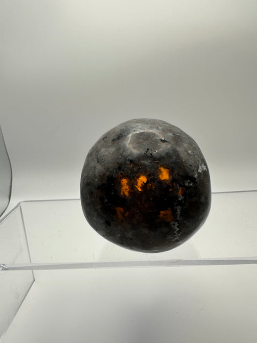 Syenite Sodalite UV Reaction Skull Carving - YD45