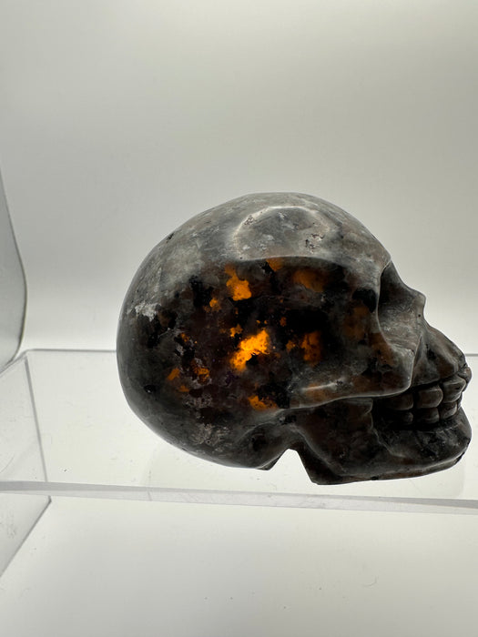 Syenite Sodalite UV Reaction Skull Carving - YD45